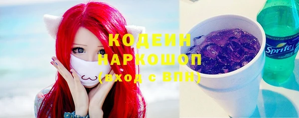 хмурый Алзамай
