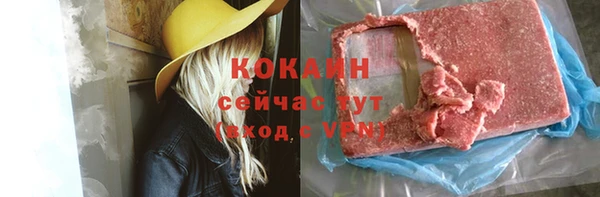 хмурый Алзамай