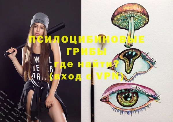 хмурый Алзамай