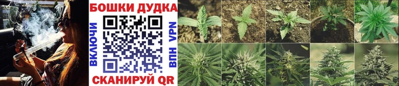 Марихуана сатива  omg зеркало  Феодосия 